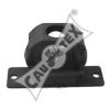 CAUTEX 010706 Engine Mounting